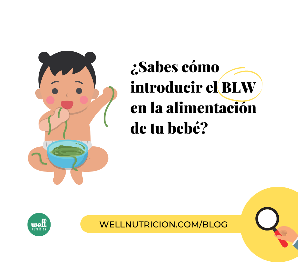 nutricionista-experto-blw